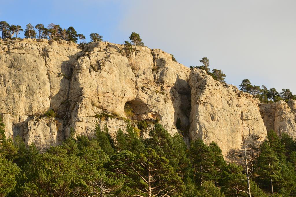 Hostal De Montana La Casa Grande Nogueruelas 外观 照片
